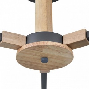 Люстра на штанге Lumion Colange 8096/3C в Нижнем Тагиле - nizhniy-tagil.ok-mebel.com | фото 7