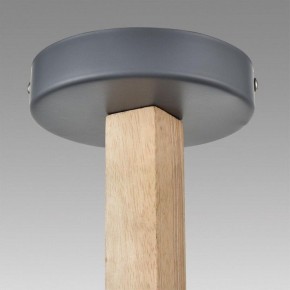 Люстра на штанге Lumion Colange 8096/3C в Нижнем Тагиле - nizhniy-tagil.ok-mebel.com | фото 9
