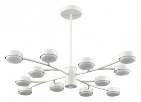 Люстра на штанге Lumion TORINA 8265/12 в Нижнем Тагиле - nizhniy-tagil.ok-mebel.com | фото