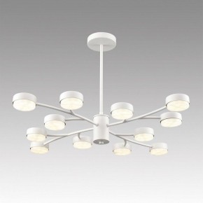 Люстра на штанге Lumion TORINA 8265/12 в Нижнем Тагиле - nizhniy-tagil.ok-mebel.com | фото 3