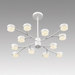 Люстра на штанге Lumion TORINA 8265/12 в Нижнем Тагиле - nizhniy-tagil.ok-mebel.com | фото 5