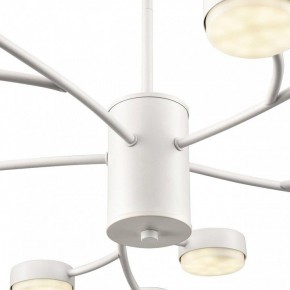 Люстра на штанге Lumion TORINA 8265/15 в Нижнем Тагиле - nizhniy-tagil.ok-mebel.com | фото 8