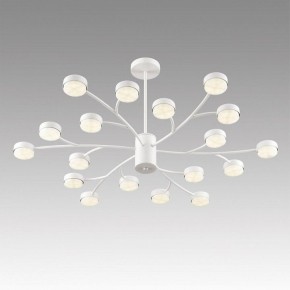 Люстра на штанге Lumion TORINA 8265/18 в Нижнем Тагиле - nizhniy-tagil.ok-mebel.com | фото 5