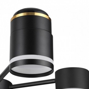 Люстра на штанге Lumion Virsava 8234/6C в Нижнем Тагиле - nizhniy-tagil.ok-mebel.com | фото 8
