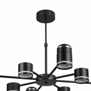 Люстра на штанге Lumion Virsava 8234/8C в Нижнем Тагиле - nizhniy-tagil.ok-mebel.com | фото 5