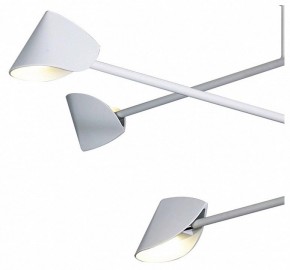 Люстра на штанге Mantra Capuccina 7570 в Нижнем Тагиле - nizhniy-tagil.ok-mebel.com | фото 4