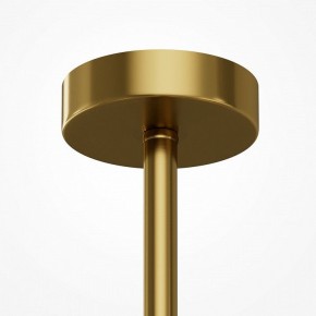 Люстра на штанге Maytoni Museo MOD436PL-05BS в Нижнем Тагиле - nizhniy-tagil.ok-mebel.com | фото 6