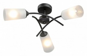 Люстра на штанге Vitaluce V2850 V2850-1/3PL в Нижнем Тагиле - nizhniy-tagil.ok-mebel.com | фото 2