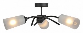 Люстра на штанге Vitaluce V2850 V2850-1/3PL в Нижнем Тагиле - nizhniy-tagil.ok-mebel.com | фото 3
