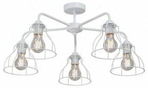 Люстра на штанге Vitaluce V3102 V3102-0/5PL в Нижнем Тагиле - nizhniy-tagil.ok-mebel.com | фото