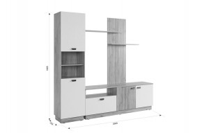 МОДИ К1 Гостиная (белое дерево) в Нижнем Тагиле - nizhniy-tagil.ok-mebel.com | фото 2