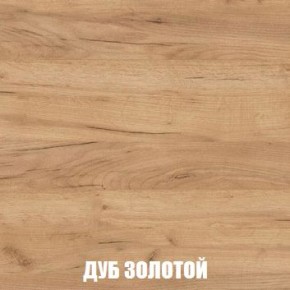 МСП-1 Шкаф 2-х створчатый (Дуб Золотой/Камень темный) в Нижнем Тагиле - nizhniy-tagil.ok-mebel.com | фото 4
