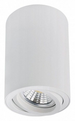 Накладной светильник Arte Lamp Sentry A1566PL-1WH в Нижнем Тагиле - nizhniy-tagil.ok-mebel.com | фото