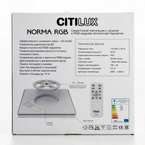 Накладной светильник Citilux Norma CL749K301 в Нижнем Тагиле - nizhniy-tagil.ok-mebel.com | фото 10