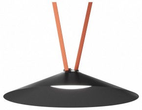 Накладной светильник Denkirs Belty Flow DK5568-BK в Нижнем Тагиле - nizhniy-tagil.ok-mebel.com | фото 2