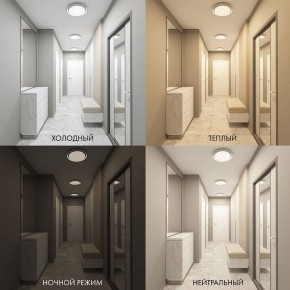 Накладной светильник Denkirs Cany DK6516-WH в Нижнем Тагиле - nizhniy-tagil.ok-mebel.com | фото 2