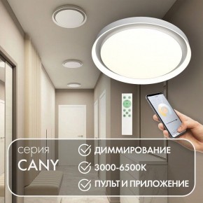Накладной светильник Denkirs Cany DK6516-WH в Нижнем Тагиле - nizhniy-tagil.ok-mebel.com | фото 4