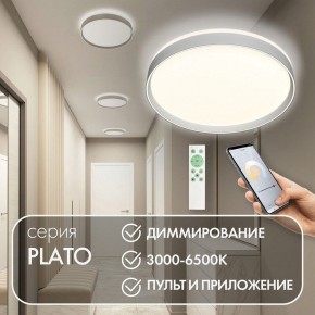 Накладной светильник Denkirs PLATO DK6511-WH/1 в Нижнем Тагиле - nizhniy-tagil.ok-mebel.com | фото 4