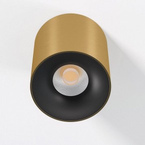 Накладной светильник Elektrostandard Primo 25116/LED в Нижнем Тагиле - nizhniy-tagil.ok-mebel.com | фото 2