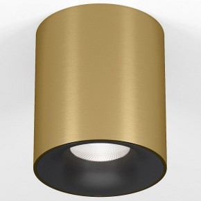 Накладной светильник Elektrostandard Primo 25116/LED в Нижнем Тагиле - nizhniy-tagil.ok-mebel.com | фото 2
