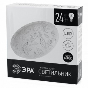 Накладной светильник Эра Классик SPB-6-24-4K (C) в Нижнем Тагиле - nizhniy-tagil.ok-mebel.com | фото 4