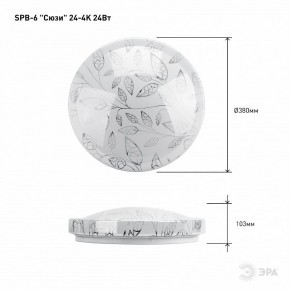 Накладной светильник Эра Классик SPB-6-24-4K (C) в Нижнем Тагиле - nizhniy-tagil.ok-mebel.com | фото 6
