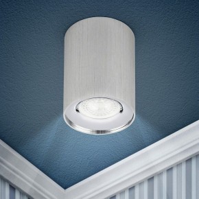 Накладной светильник Эра  OL1 GU10 SL/CH в Нижнем Тагиле - nizhniy-tagil.ok-mebel.com | фото 3