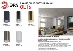 Накладной светильник Эра OL16 GU10 GD Б0049047 в Нижнем Тагиле - nizhniy-tagil.ok-mebel.com | фото 5