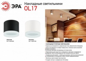 Накладной светильник Эра OL17 GX53 WH Б0049044 в Нижнем Тагиле - nizhniy-tagil.ok-mebel.com | фото 5