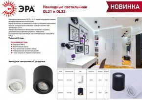 Накладной светильник Эра OL21 BK Б0054393 в Нижнем Тагиле - nizhniy-tagil.ok-mebel.com | фото 2