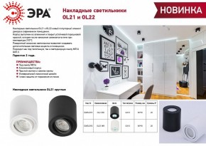 Накладной светильник Эра OL22 WH Б0054394 в Нижнем Тагиле - nizhniy-tagil.ok-mebel.com | фото 3