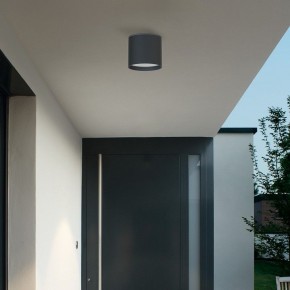 Накладной светильник Favourite Fantum 4663-1U в Нижнем Тагиле - nizhniy-tagil.ok-mebel.com | фото 3