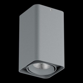 Накладной светильник Lightstar Monocco 052139-IP65 в Нижнем Тагиле - nizhniy-tagil.ok-mebel.com | фото 2