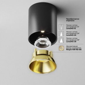 Накладной светильник Maytoni Alfa LED C064CL-12W4K-RD-B в Нижнем Тагиле - nizhniy-tagil.ok-mebel.com | фото 3