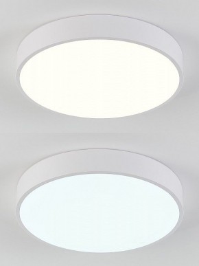 Накладной светильник Natali Kovaltseva  LED LAMPS 81111/5C в Нижнем Тагиле - nizhniy-tagil.ok-mebel.com | фото 4