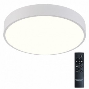 Накладной светильник Natali Kovaltseva  LED LAMPS 81112/5C в Нижнем Тагиле - nizhniy-tagil.ok-mebel.com | фото 2
