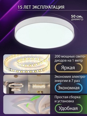 Накладной светильник Natali Kovaltseva  LED LAMPS 81112/5C в Нижнем Тагиле - nizhniy-tagil.ok-mebel.com | фото 4