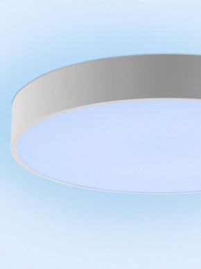 Накладной светильник Natali Kovaltseva MODERN LED LAMPS 81105/2C в Нижнем Тагиле - nizhniy-tagil.ok-mebel.com | фото 12