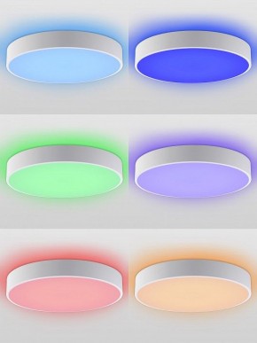 Накладной светильник Natali Kovaltseva MODERN LED LAMPS 81105/2C в Нижнем Тагиле - nizhniy-tagil.ok-mebel.com | фото 5