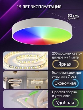 Накладной светильник Natali Kovaltseva MODERN LED LAMPS 81105/2C в Нижнем Тагиле - nizhniy-tagil.ok-mebel.com | фото 6