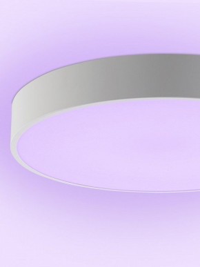 Накладной светильник Natali Kovaltseva MODERN LED LAMPS 81105/2C в Нижнем Тагиле - nizhniy-tagil.ok-mebel.com | фото 9