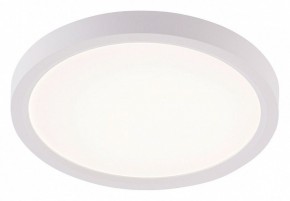 Накладной светильник Natali Kovaltseva PLAIN LED LAMPS 81113/1C в Нижнем Тагиле - nizhniy-tagil.ok-mebel.com | фото