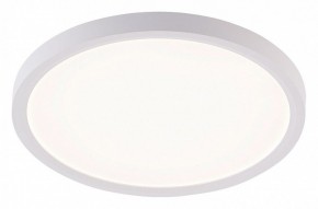 Накладной светильник Natali Kovaltseva PLAIN LED LAMPS 81113/2C в Нижнем Тагиле - nizhniy-tagil.ok-mebel.com | фото
