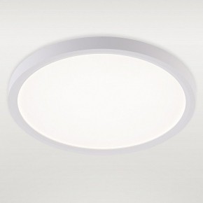 Накладной светильник Natali Kovaltseva PLAIN LED LAMPS 81113/2C в Нижнем Тагиле - nizhniy-tagil.ok-mebel.com | фото 2