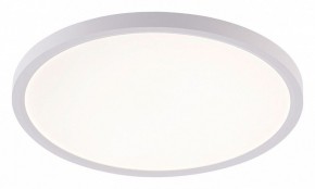 Накладной светильник Natali Kovaltseva PLAIN LED LAMPS 81113/3C в Нижнем Тагиле - nizhniy-tagil.ok-mebel.com | фото