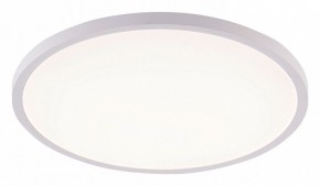 Накладной светильник Natali Kovaltseva PLAIN LED LAMPS 81113/5C в Нижнем Тагиле - nizhniy-tagil.ok-mebel.com | фото