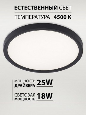 Накладной светильник Natali Kovaltseva PLAIN LED LAMPS 81114/2C в Нижнем Тагиле - nizhniy-tagil.ok-mebel.com | фото 3