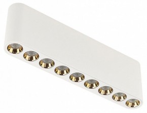 Накладной светильник Odeon Light Small 7091/21CL в Нижнем Тагиле - nizhniy-tagil.ok-mebel.com | фото