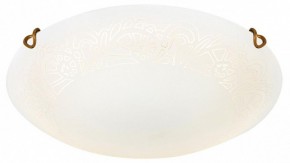Накладной светильник Sonex Ammonite 7602/DL в Нижнем Тагиле - nizhniy-tagil.ok-mebel.com | фото 3
