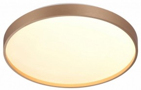 Накладной светильник Sonex Gaby 7783/DL в Нижнем Тагиле - nizhniy-tagil.ok-mebel.com | фото 5
